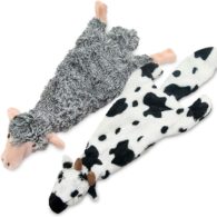 2-in-1 Fun Skin Stuffless Dog Squeaky Toy by Best Pet Supplies